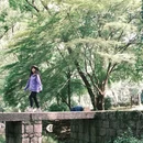 九溪烟树 - 杭州市旅游 缩略图 7