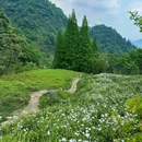 尖尖树 - 成都市旅游 缩略图 1