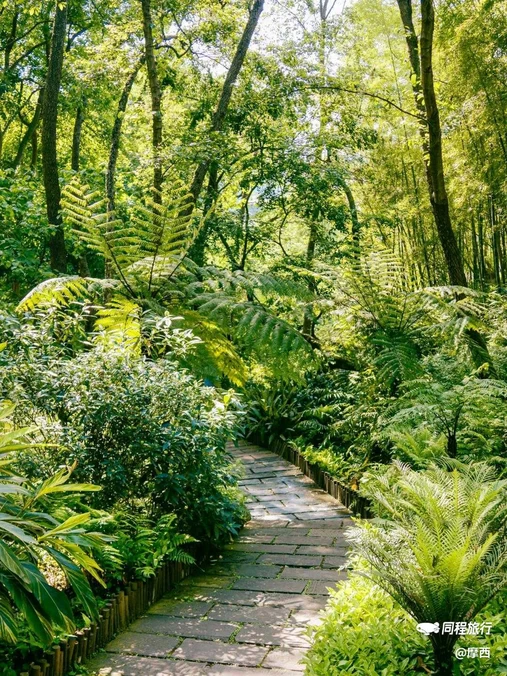 成都市植物园 - 成都市旅游