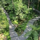 成都市植物园 - 成都市旅游 缩略图 2