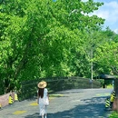 秦皇湖 - 成都市旅游 缩略图 5