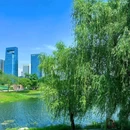 秦皇湖 - 成都市旅游 缩略图 8