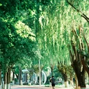 兴国禅寺 - 保定市旅游 缩略图 7