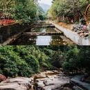 广州市白江湖森林公园 - 广州市旅游 缩略图 2