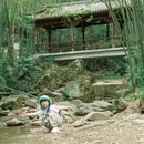铜马沟竹海公园 - 成都市旅游 缩略图 6