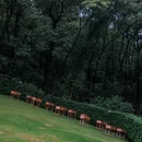 南湖南·艺术家夏宫 - 广州市旅游 缩略图 4