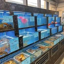 章记海鲜夜档 - 上海市旅游 缩略图 5
