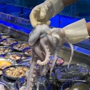 海岛·海鲜火锅·蓝眼泪(龙王头店) - 福州市旅游 缩略图 3