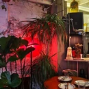 PlasticAttic 塑料阁楼·Bistro 吃喝小馆 - 上海市旅游 缩略图 2