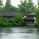 西溪国家湿地公园 - 杭州市旅游 缩略图 2