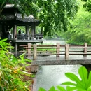 西溪国家湿地公园 - 杭州市旅游 缩略图 5