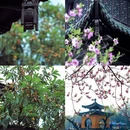 蜀冈瘦西湖风景名胜区 - 扬州市旅游 缩略图 4