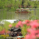 蜀冈瘦西湖风景名胜区 - 扬州市旅游 缩略图 5