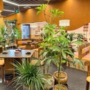 幔九·贵州小馆 - 深圳市旅游 缩略图 9