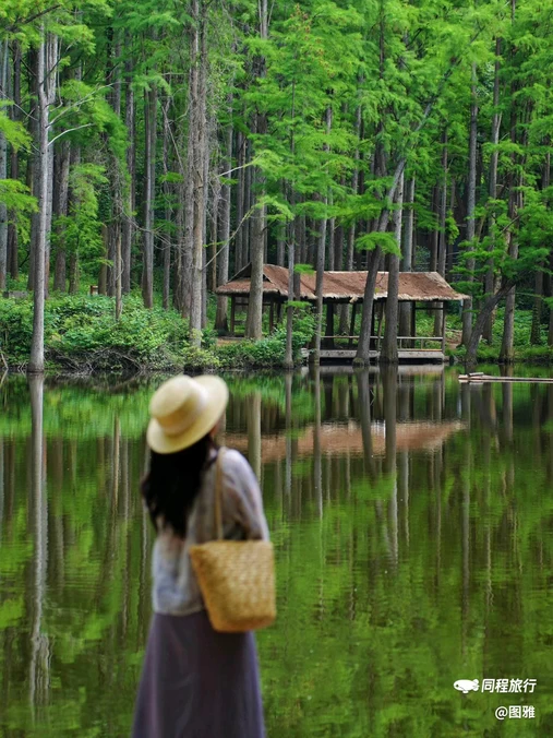 信阳市体彩广场 - 信阳市旅游