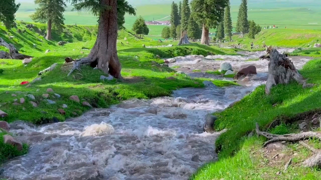 那拉提草原 - 伊犁哈萨克自治州旅游