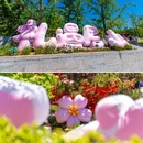 尼山圣境 - 济宁市旅游 缩略图 2