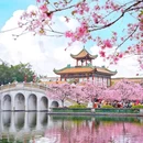 余荫山房 - 广州市旅游 缩略图 3