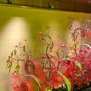 南城印象·茶·餐厅 - 盐城市旅游 缩略图 2