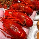 红大龙虾(程阁老巷店) - 南京市旅游 缩略图 5