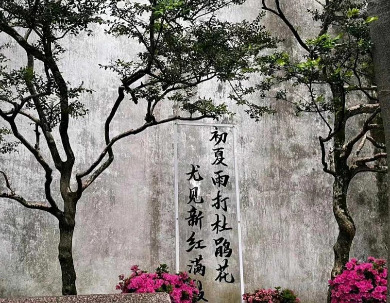 拙政园 - 苏州市旅游 1