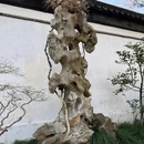 拙政园 - 苏州市旅游 缩略图 6