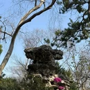 拙政园 - 苏州市旅游 缩略图 7