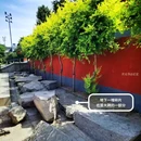 正定开元寺 - 石家庄市旅游 缩略图 5