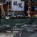 景德镇植物园 - 景德镇市旅游 缩略图 8