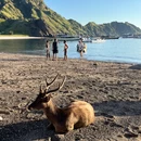 印度尼西亚 - 其他旅游 缩略图 5