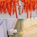 壕股塔院 - 嘉兴市旅游 缩略图 8