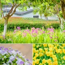 壕股塔院 - 嘉兴市旅游 缩略图 9