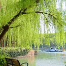 壕股塔院 - 嘉兴市旅游 缩略图 5