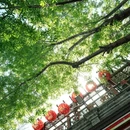西兴隆街 - 北京市旅游 缩略图 2