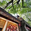 西兴隆街 - 北京市旅游 缩略图 5