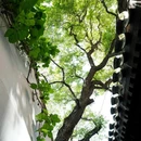 西兴隆街 - 北京市旅游 缩略图 8