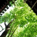 西兴隆街 - 北京市旅游 缩略图 9