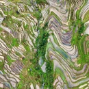 从江加榜梯田 - 黔东南苗族侗族自治州旅游 缩略图 4