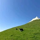 林栖谷森林康养度假区 - 廊坊市旅游 缩略图 5