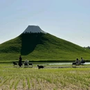林栖谷森林康养度假区 - 廊坊市旅游 缩略图 2