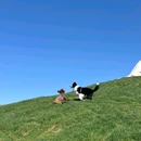 林栖谷森林康养度假区 - 廊坊市旅游 缩略图 6