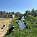 林栖谷森林康养度假区 - 廊坊市旅游 缩略图 8
