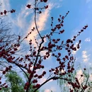 西湖风景名胜区 - 杭州旅游 缩略图 6