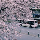 温江二中 - 成都市旅游 缩略图 4