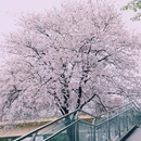 温江二中 - 成都市旅游 缩略图 8