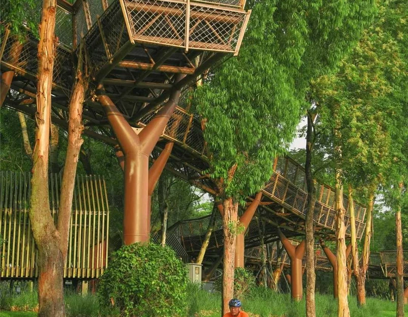 大沙河生态长廊 - 深圳市旅游 1