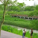 大沙河生态长廊 - 深圳市旅游 缩略图 6
