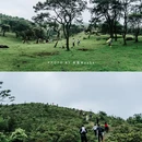 八排山 - 云浮市旅游 缩略图 8