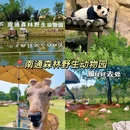 南通蓝印花布博物馆 - 南通市旅游 缩略图 7