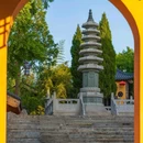 盐城东台天发旅游 - 盐城市旅游 缩略图 2